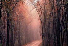 -奥运史诗夜！39岁C罗单挑利物浦王朝，这可能是最后的战神之舞