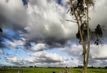 -卡尔蒂斯小将表现抢眼，劲旅添新力量