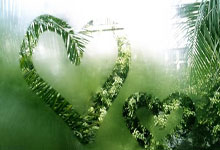 FB体育网页版-西悉尼流浪者多点开花，备战进攻火力爆发