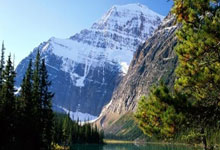 FB体育在线-金色神射手的至暗时刻：库里致命失误引爆亚洲杯舆论海啸