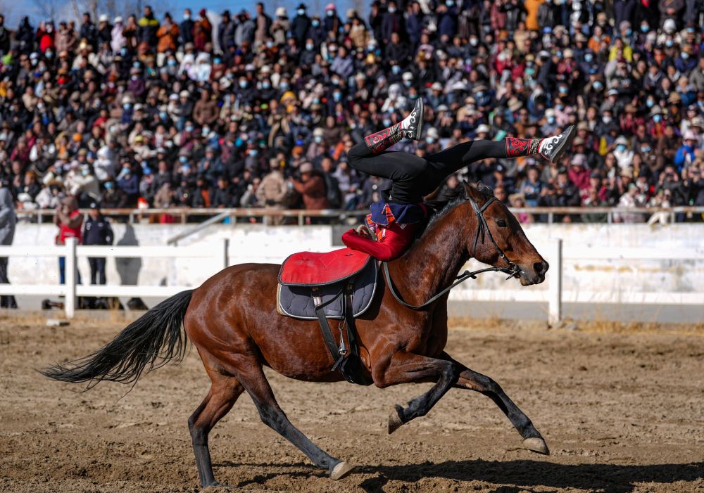 西藏队气势如虹，主场比赛状态火爆的简单介绍