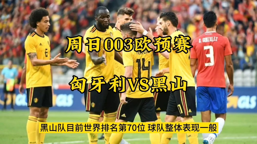 黑山国家队在欧预赛中闪耀夺冠,精彩纷呈 黑山国家队在欧预赛中闪耀夺冠,精彩纷呈