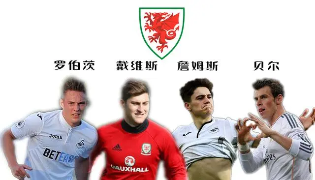 威尔士队备战希腊队关键比赛，争取晋级权