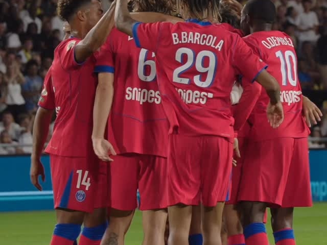 FB体育-南特客场不敌对手，降级威胁逼近的简单介绍