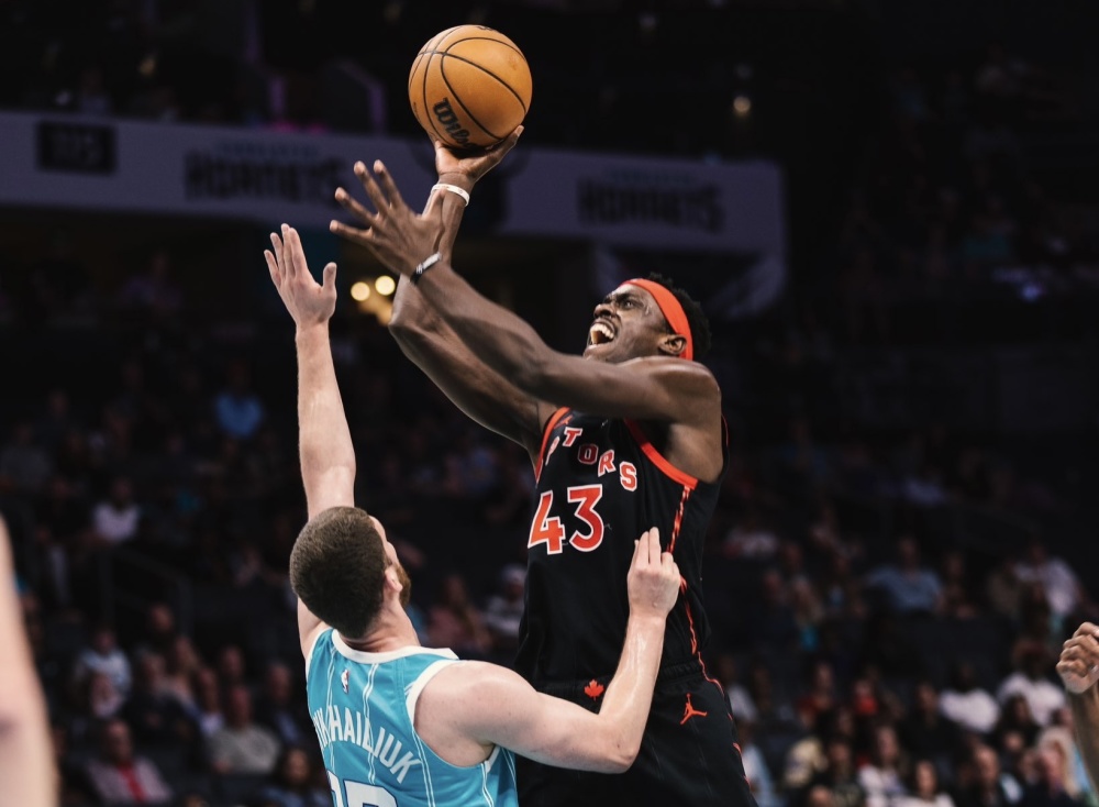 猛龙轻松击败黄蜂,取得胜利 猛龙轻松击败黄蜂,取得胜利