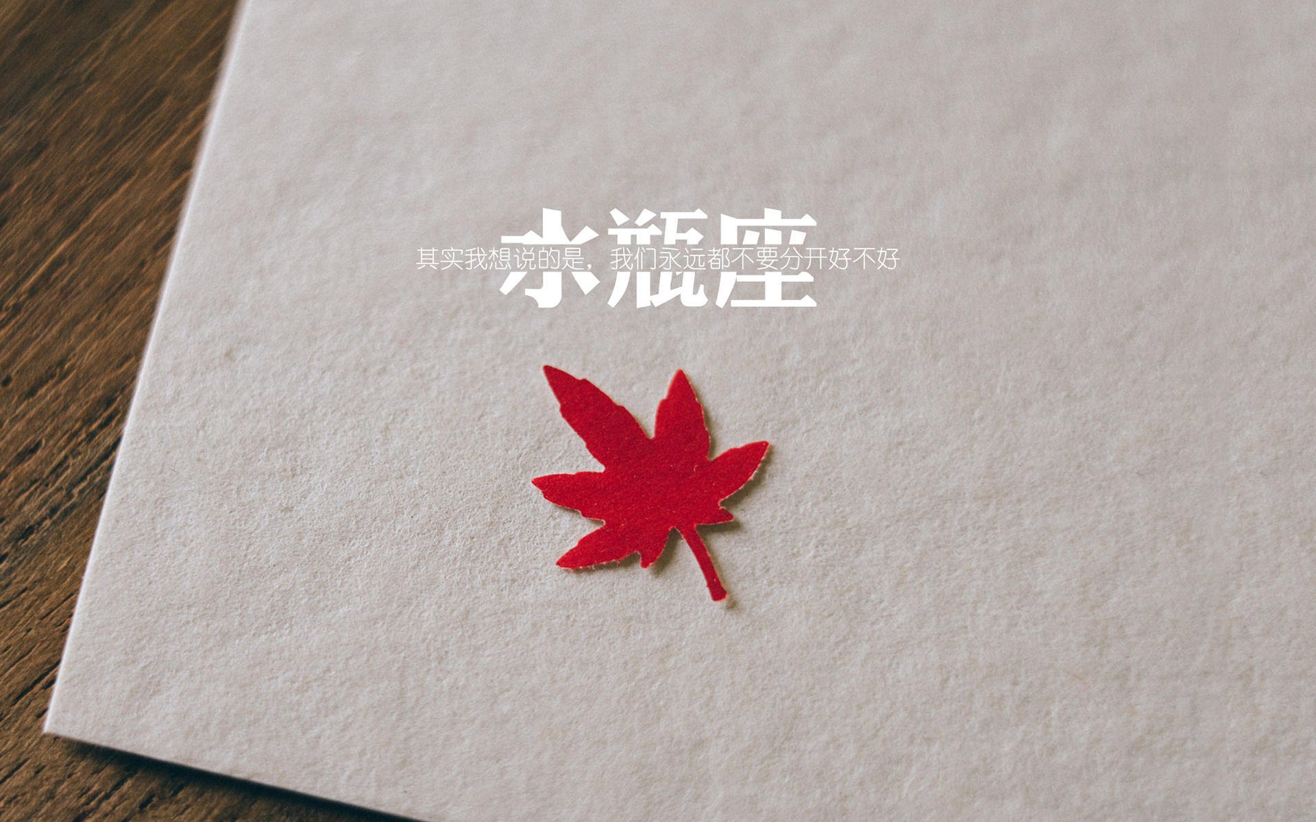 布克如神兵天降,奇才险胜森林狼背后的无解方程式